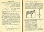 Mathematik Arbeitsbuch Klasse 9 – Der Goldene Schnitt