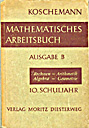 Mathematisches Arbeitsbuch Klasse 10