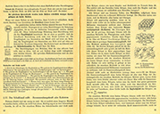 Lehrbuch Physik – Band I – Kohäsion und Zugfestigkeit