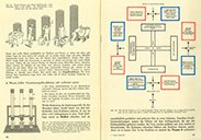 Lehrbuch Die Natur / Band 3 – Vitaminmangel