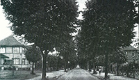 Schneverdinger Fotos – Kalender 2013 – Bahnhofstrasse – 1930er Jahre